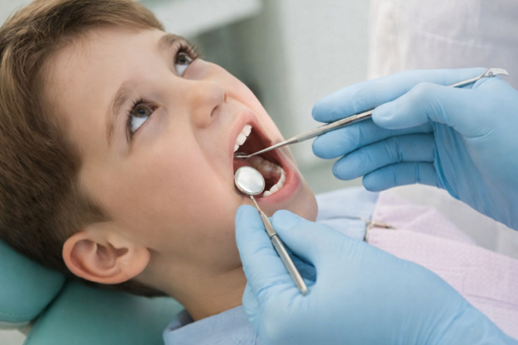 Dentist Laurel